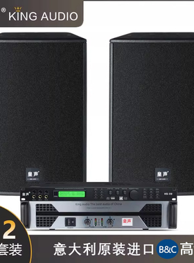 KingAudio/皇声 C12（进口高音）20-60平米高端KTV酒吧音响套装