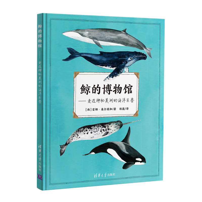 鲸的博物馆——走近神秘莫测的海洋巨兽(关于鲸的内容都在这里) 9787302594284 清华大学出版社