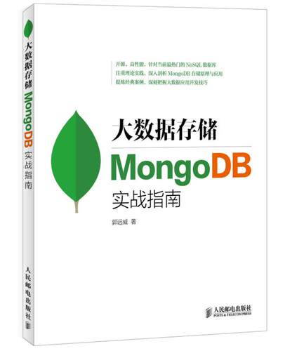 正版现货：大数据存储 MongoDB实战指南