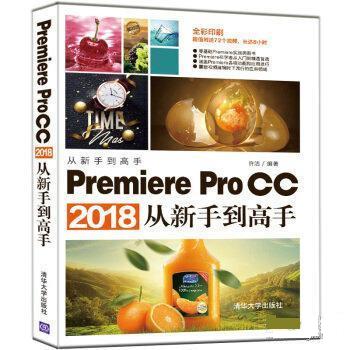 Premiere Pro CC 2018从新手到高手