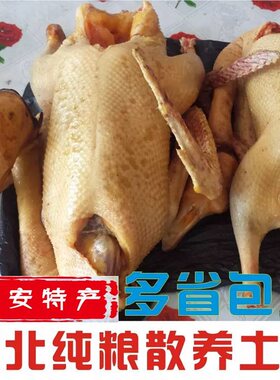东北农家散养大鹅现杀冷冻整只纯粮本地草鹅农户养的笨鹅6-7斤