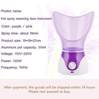 Facial Steam Steamer hot spray steaming face instrument