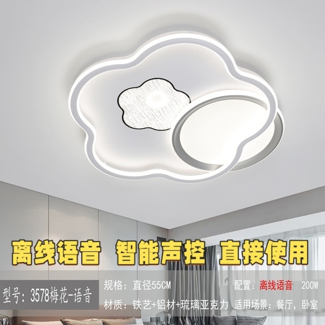 2025新款时尚网红百搭风格卧室儿童房书房简约吸顶灯语音智能简约