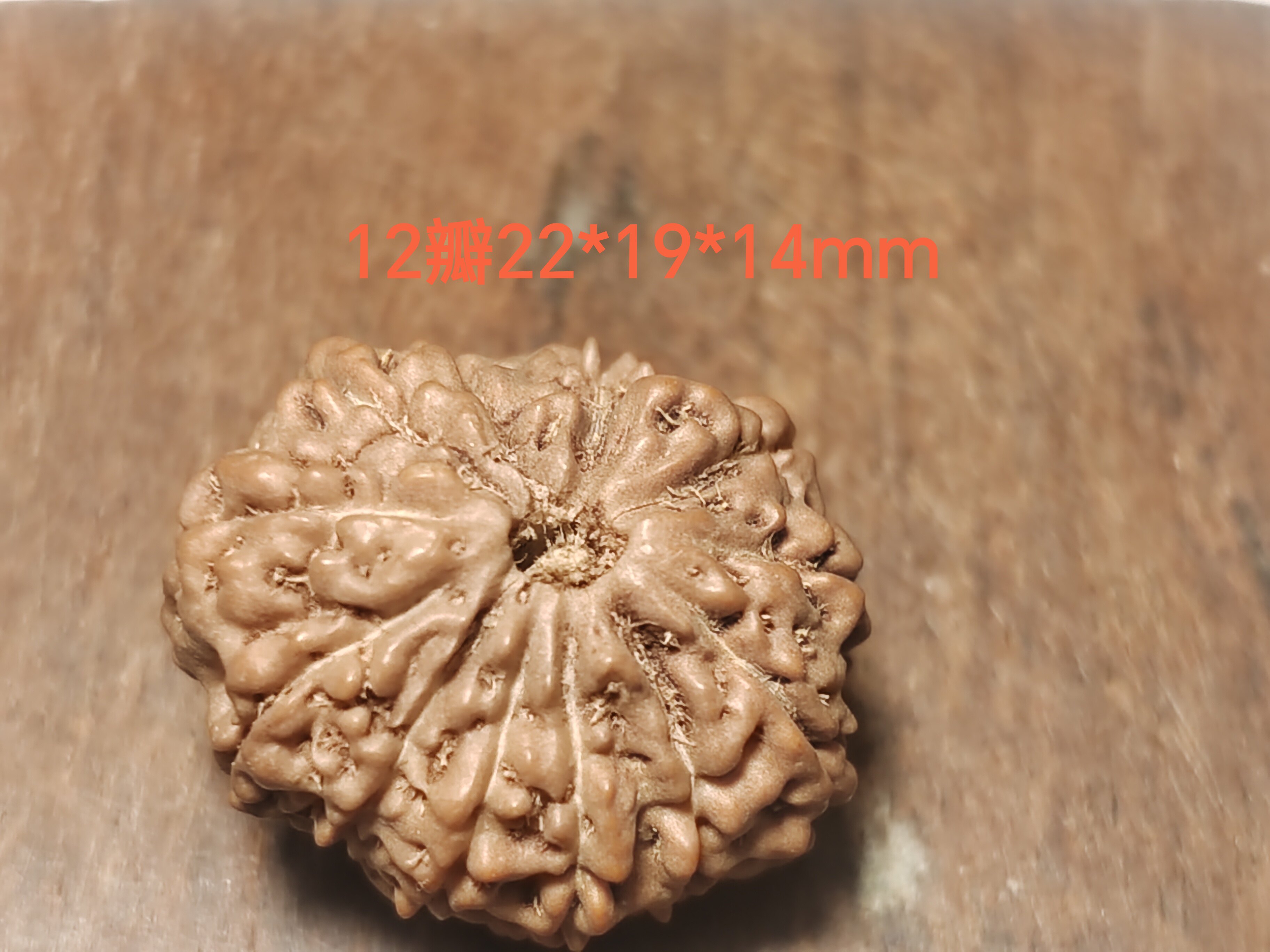尼泊尔印尼小金刚多瓣天然单籽十二瓣12瓣108手串手持背云吊坠