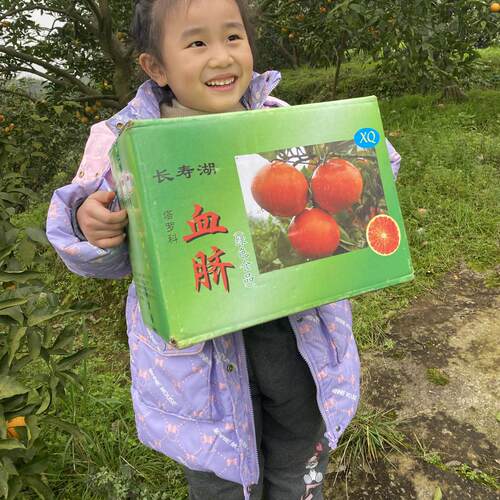 重庆长寿湖血脐橙塔罗科现水果