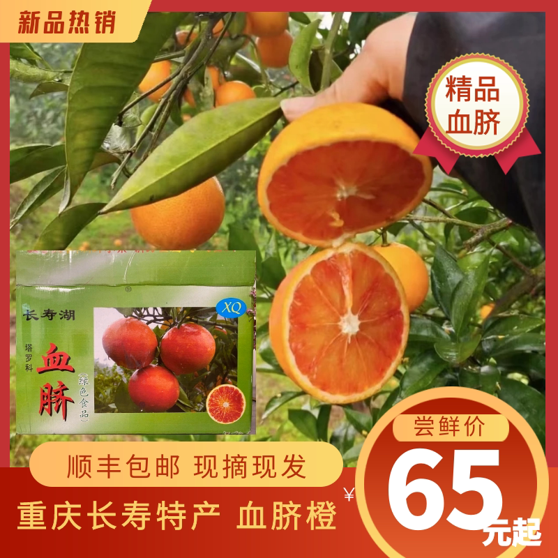 实图重庆长寿湖血脐橙塔罗科脐橙当季水果顺新鲜橙子水果孕妇水果