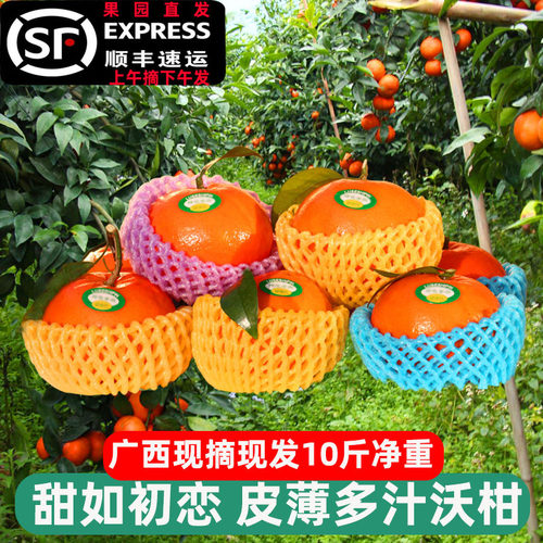 守心人正宗广西沃柑新鲜皮薄多汁