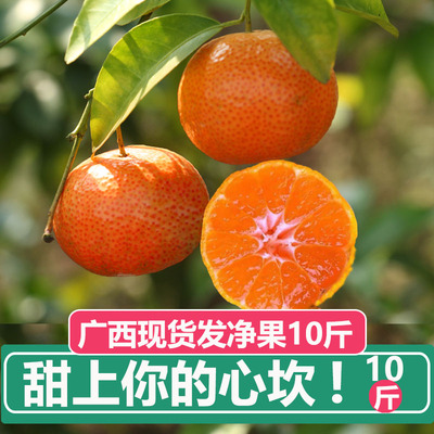 广西砂糖橘新鲜纯甜现摘10斤净重
