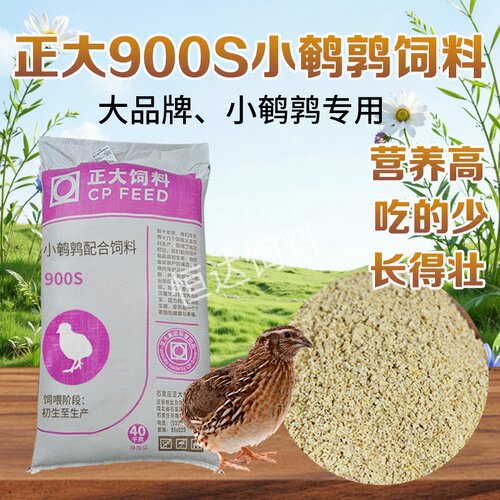 正大饲料900s鹌鹑芦丁鸡育雏