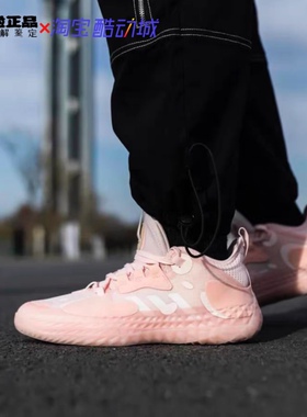 Adidas HARDEN VOL. 5 哈登5代 实战篮球鞋 FZ1083 H68684 FZ0834