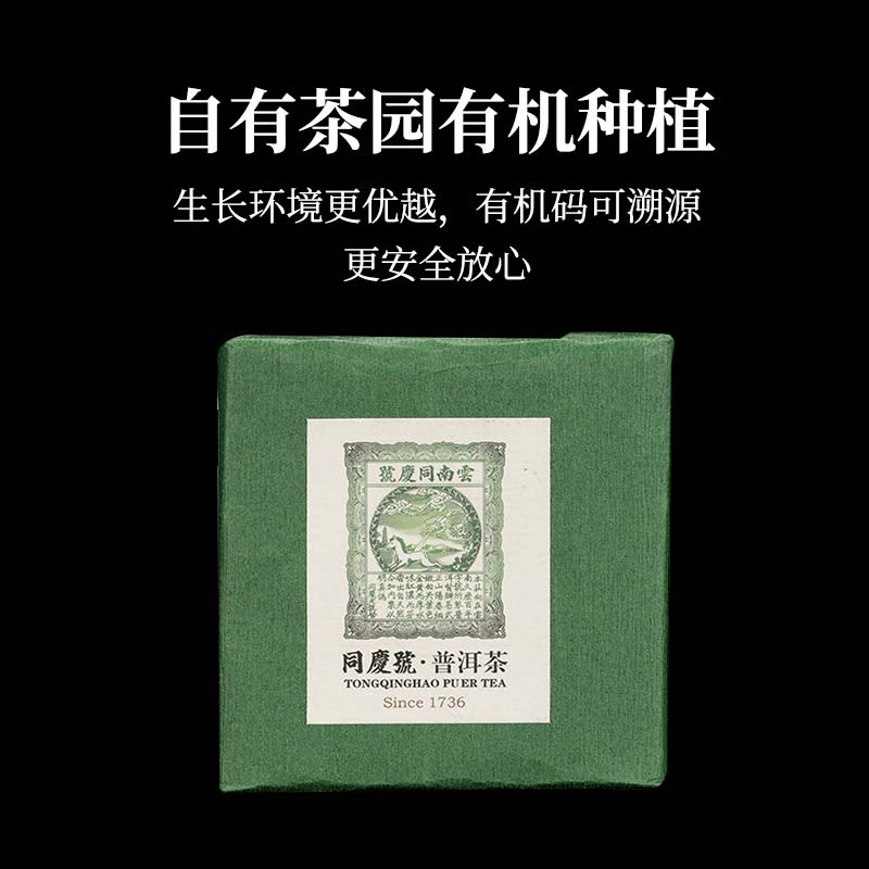 同庆号普洱茶云南生态茶园有机茶