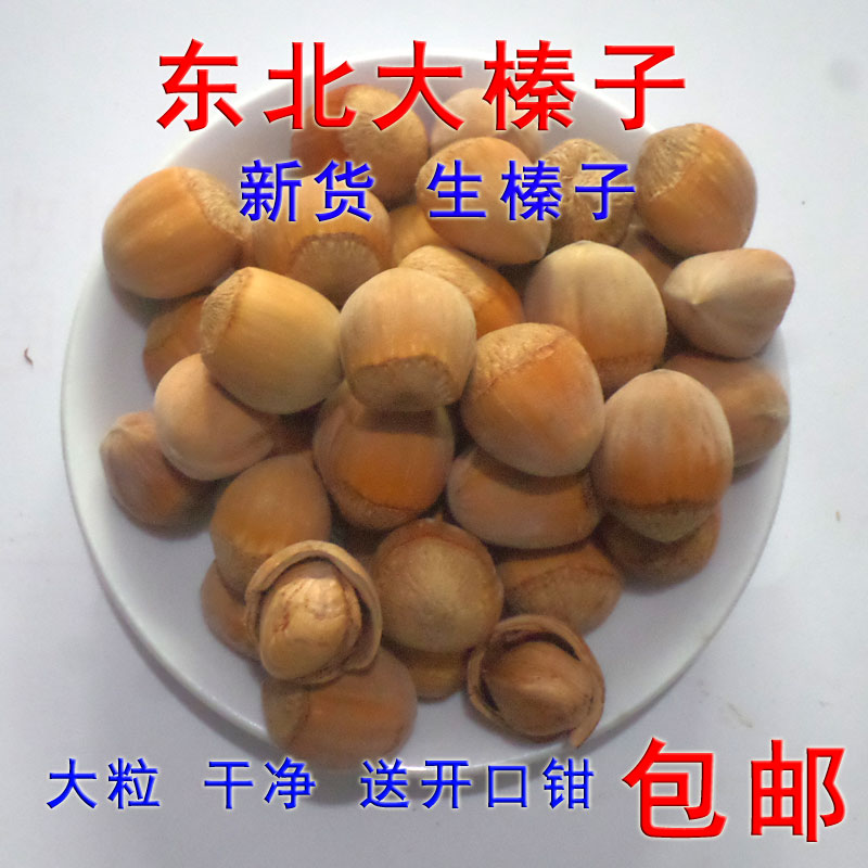 东北大榛子生榛子坚果大颗粒