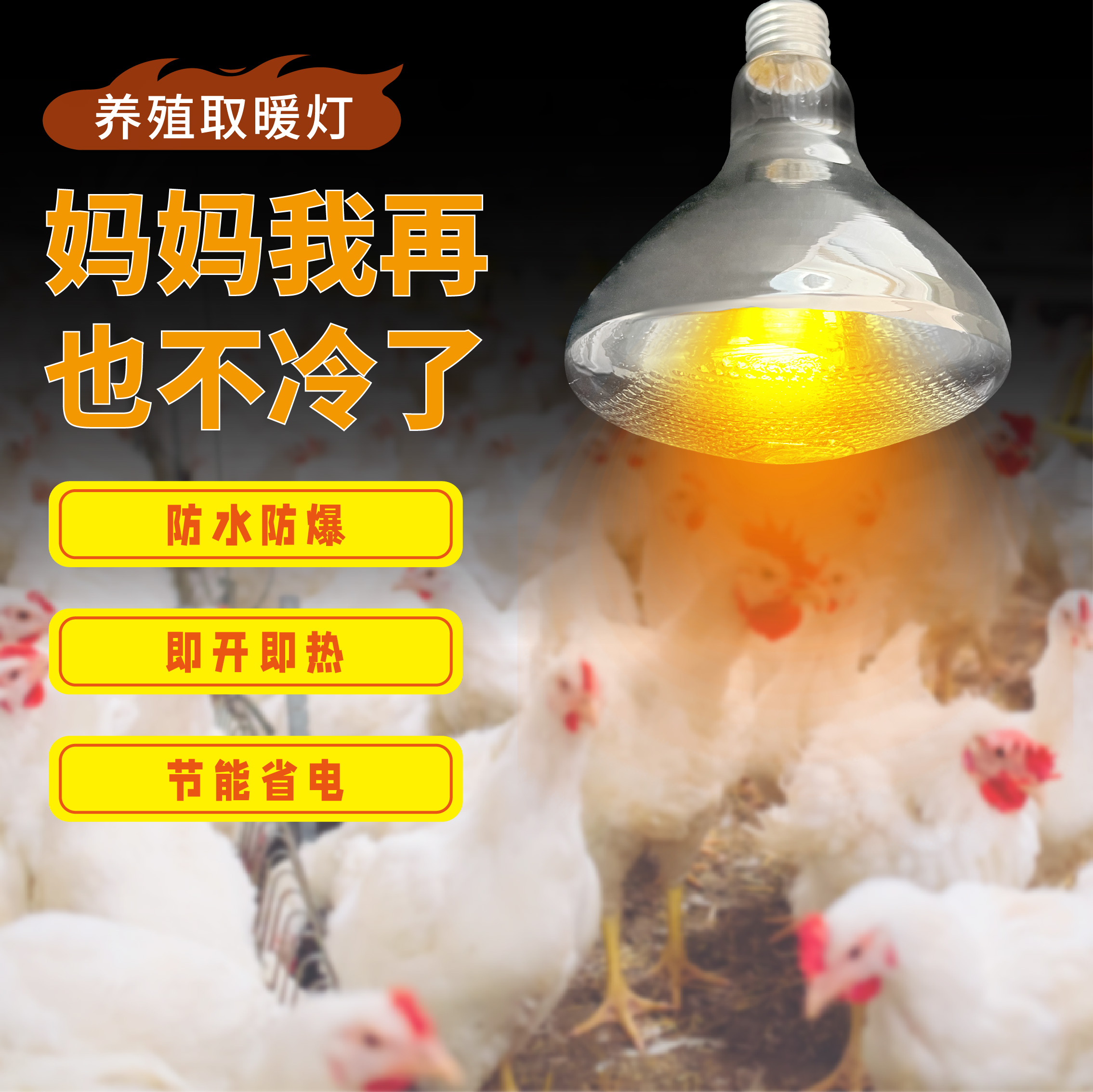 防水防爆节能红外仔猪加热保温灯