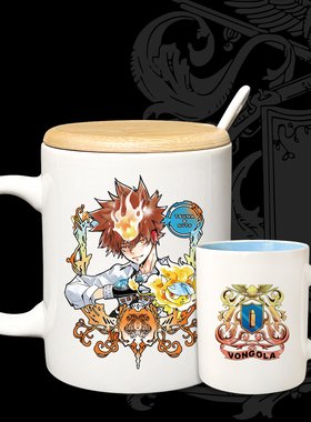 漫能家庭教师HITMAN REBORN!陶瓷杯马克杯彭格列泽田纲吉周边水杯