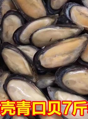 半壳冷冻青口贝大海虹