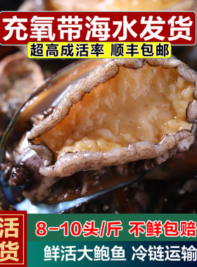 新鲜充氧发货顺丰包邮海鲜水产