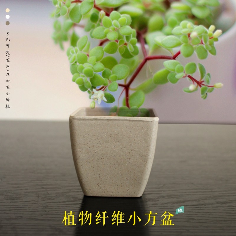 特价室内透气多肉花盆树脂植物纤维方形桌面简约盆栽现代白色