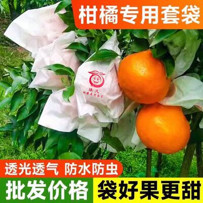 柑橘红美人专用套袋番石榴纸