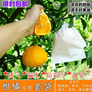 耙耙柑套袋红美人柑橘专用袋脐橙丑橘石榴袋橙子套纸袋不知火防虫