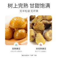 Xin Nong Ge Organic Chestnut Kernels 60g, Yanshan Qinglong ready-to-eat Chestnuts, sweet and glutinous, shelled chestnuts, a relaxing and healthy snack thumbnail 6