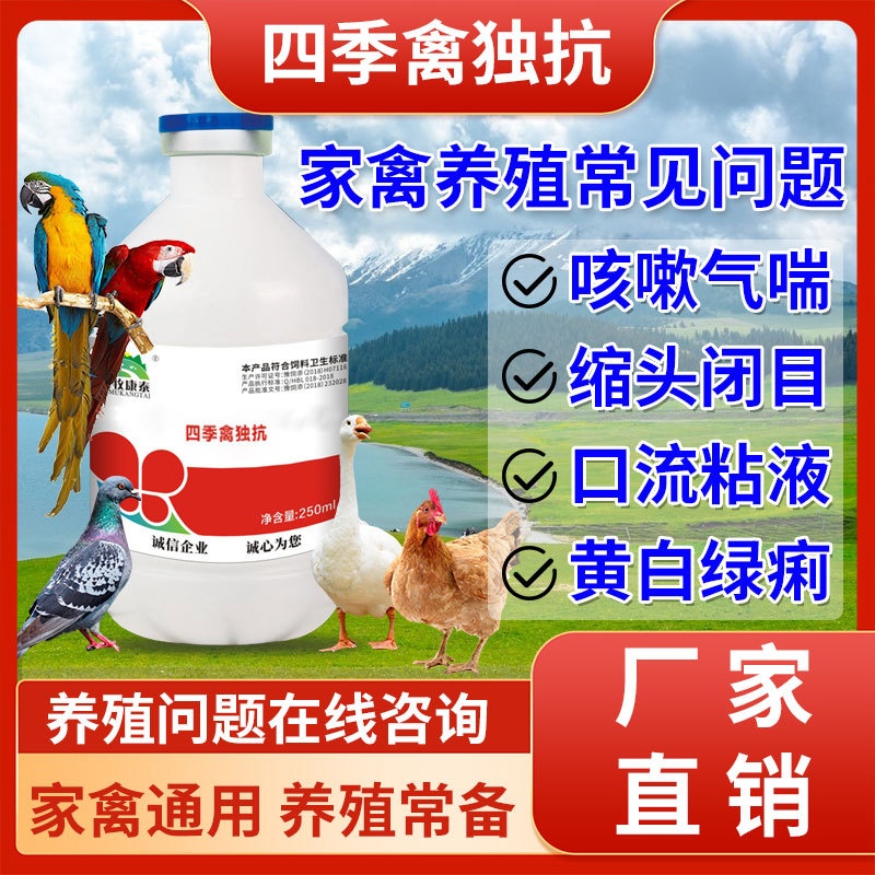 四季禽独抗250ml家禽养殖咳嗽气喘缩头闭目口流粘液黄白绿痢