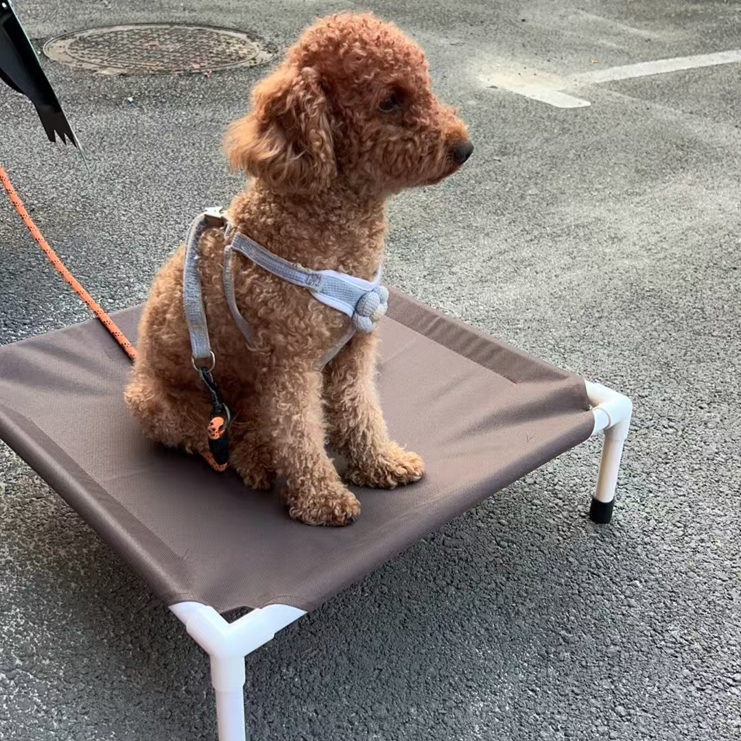 新款宠物夏季狗狗床猫咪行军床防潮隔热耐咬中小型宠物用品猫狗床