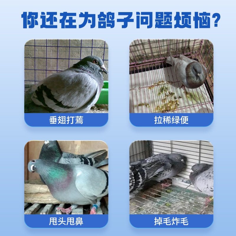 鸽陆联30g 鸽子养殖问题瘫软食欲不振甩头甩鼻掉毛炸毛垂翅打蔫,宠物/宠物食品及用品,狗特色保健品,淘宝优惠券,粉丝福利购,淘宝优惠卷