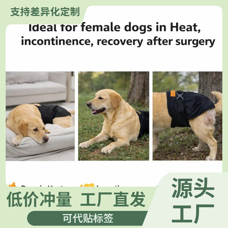 母狗生理裤生理期月经裤宠物尿不湿礼貌带博美比熊金毛通用防骚扰