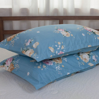 纯棉拉链枕套一对100%全棉枕头套单人40X60儿童30X50卡通48X74cm