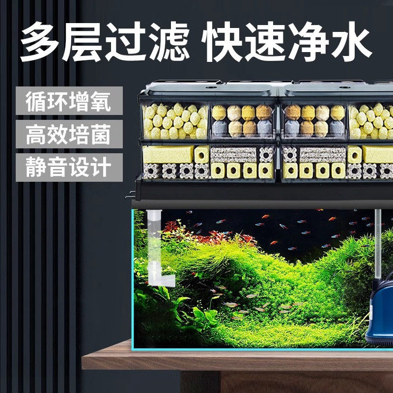 【鱼友推荐】松宝滴流盒图片