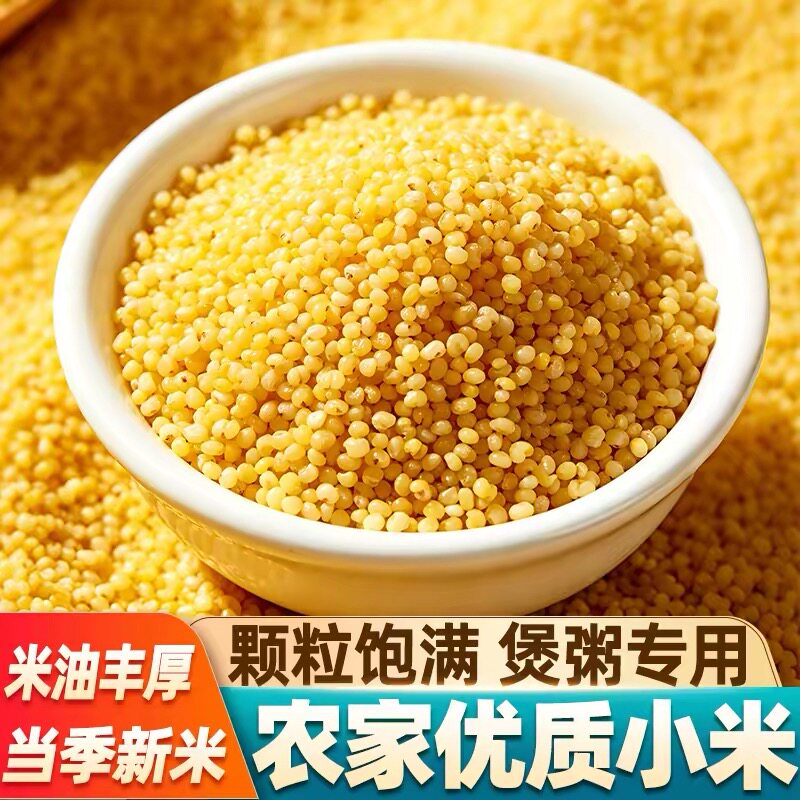 山西新小米黄色小米粒