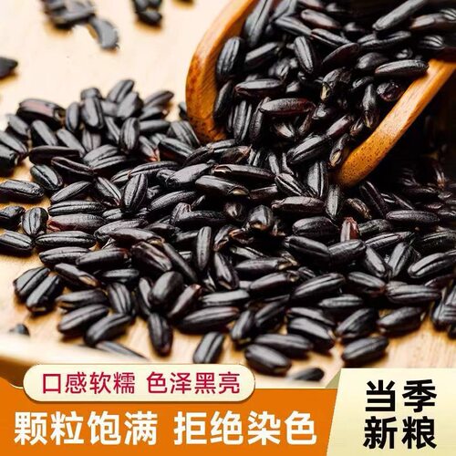 东北黑米新米250g500克无染色