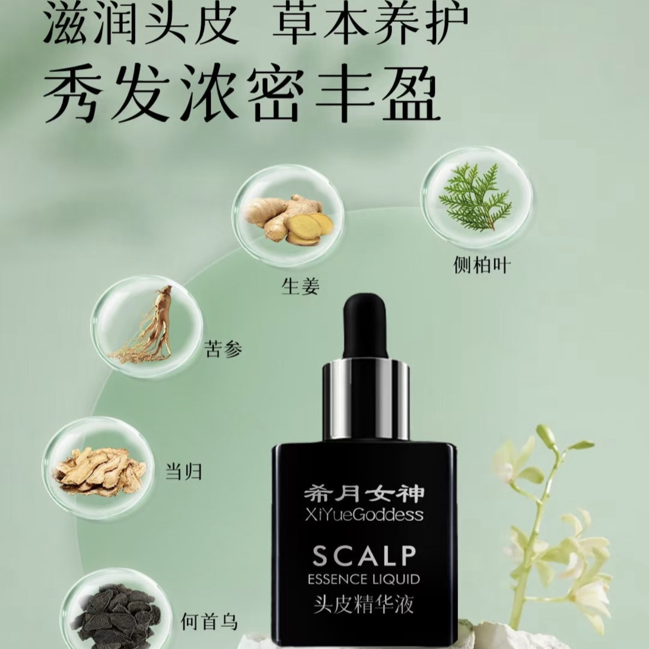 希月女神头皮精华液 滋养毛囊 强韧发根