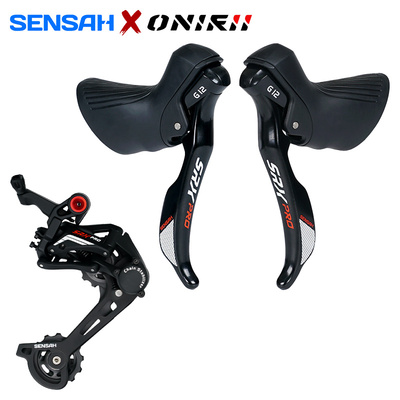 顺泰SRXPro1*12速瓜车变速器