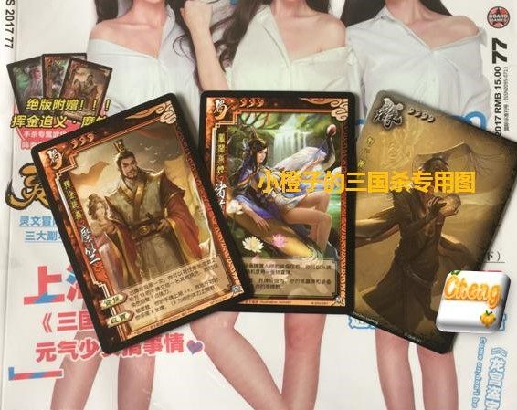 三国杀糜竺诸葛袁术2017年桌游