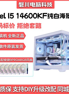 I5 12400F/12600KF/14600KF无显卡过度台式DIY电脑整机海景房主机