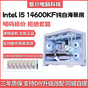 14600KF无显卡过度台式 12600KF DIY电脑整机海景房主机 12400F