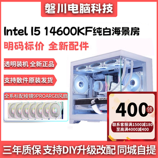 14600KF无显卡过度台式 12600KF DIY电脑整机海景房主机 12400F
