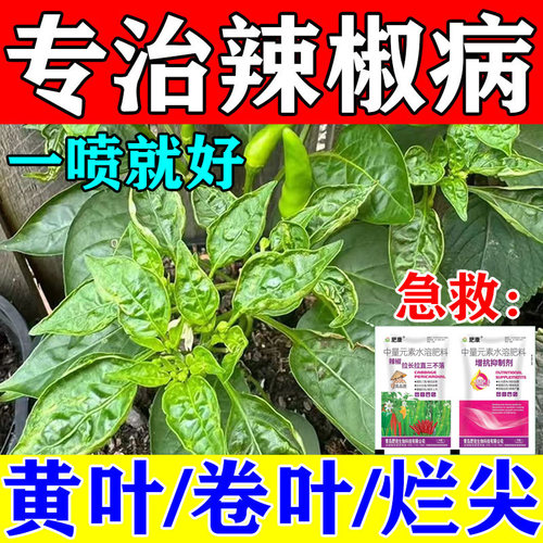 辣椒病毒病杀菌剂营养抗病一喷好