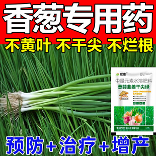 小香葱专用药葱姜蒜韭菜干尖灵大葱干尖黄叶锈病菌水溶剂叶面肥料