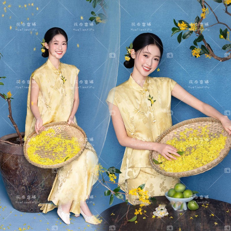 2026秋日新款影楼氛围感少女新中式国风个人旗袍复古写真艺术服装图片