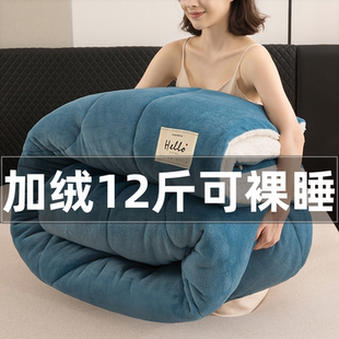 羊羔绒被子冬被加厚保暖牛奶绒棉被双面绒冬单双人春秋冬季 加绒芯