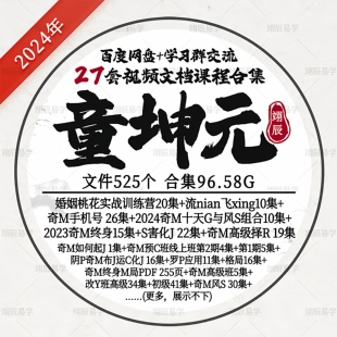 童坤元 27套阴P奇M视频文档课程合集国学零基础入门到精通自学教程