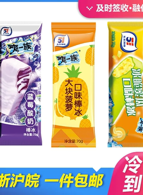 蜜瓜菠萝蓝莓40支经典童年雪糕