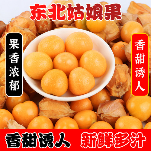 云南姑娘果新鲜菇娘果现摘灯笼果水果东北姑娘果鲜果特大果应季