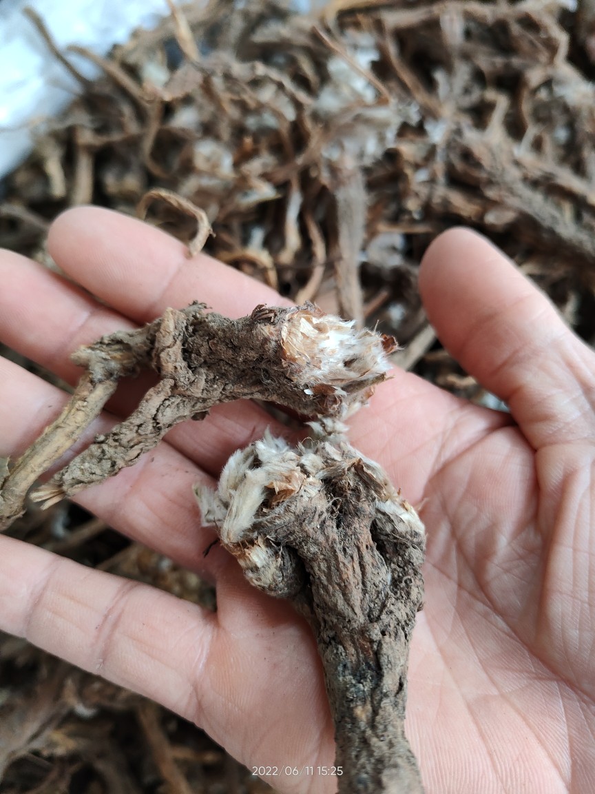 大山药材白头翁 奈何草 粉乳草 白头草 根部干品500克无提取
