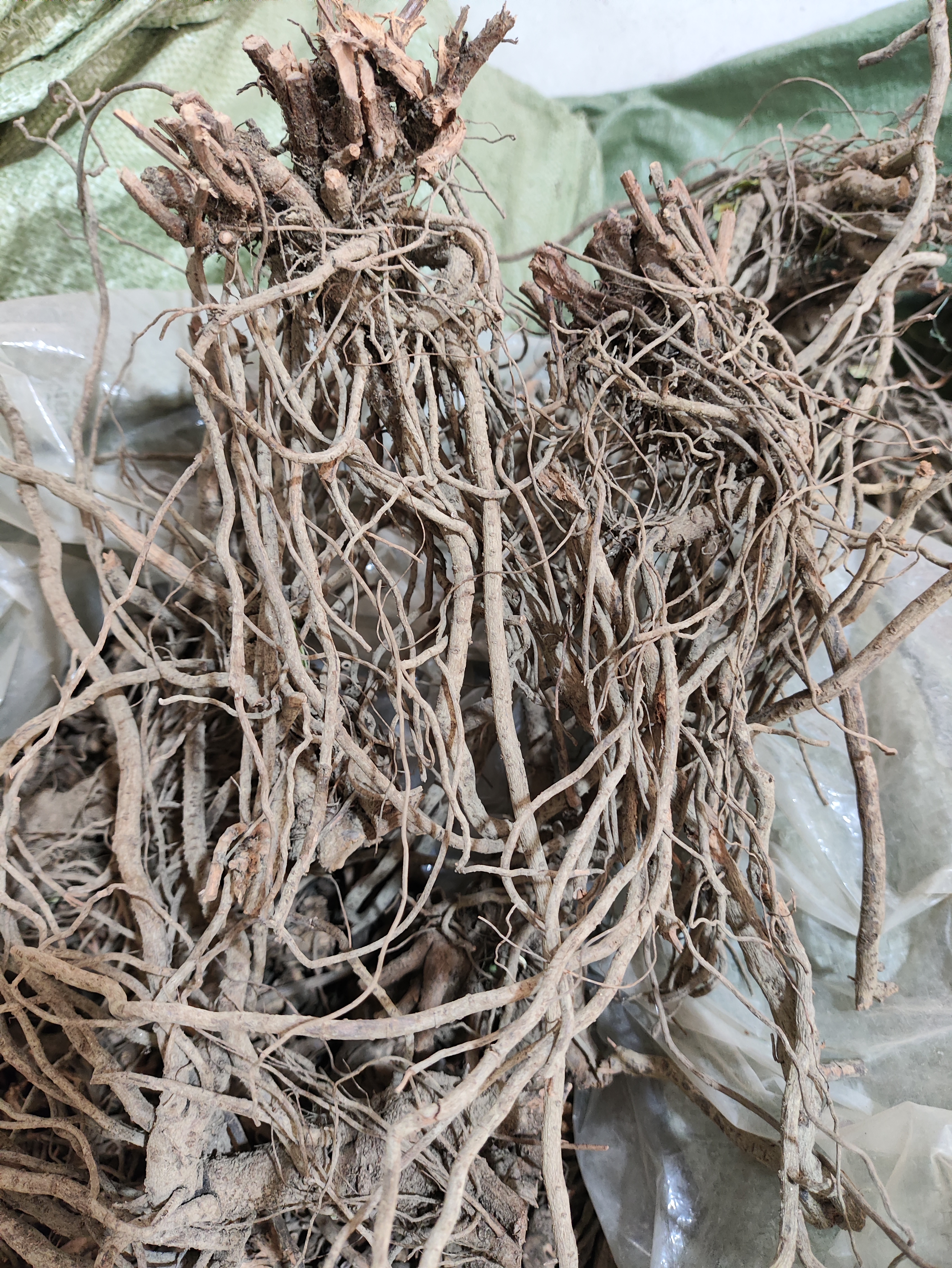 野生红花丹根 正品谢三娘 紫花丹 紫雪花 紫花藤 整条干品根无硫