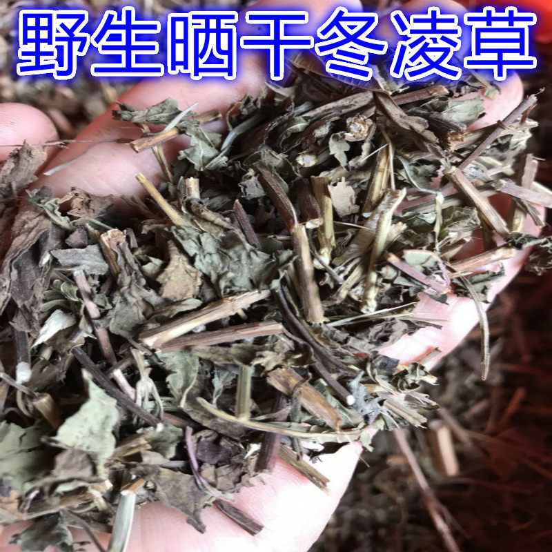 野生冰凌草无硫养生茶