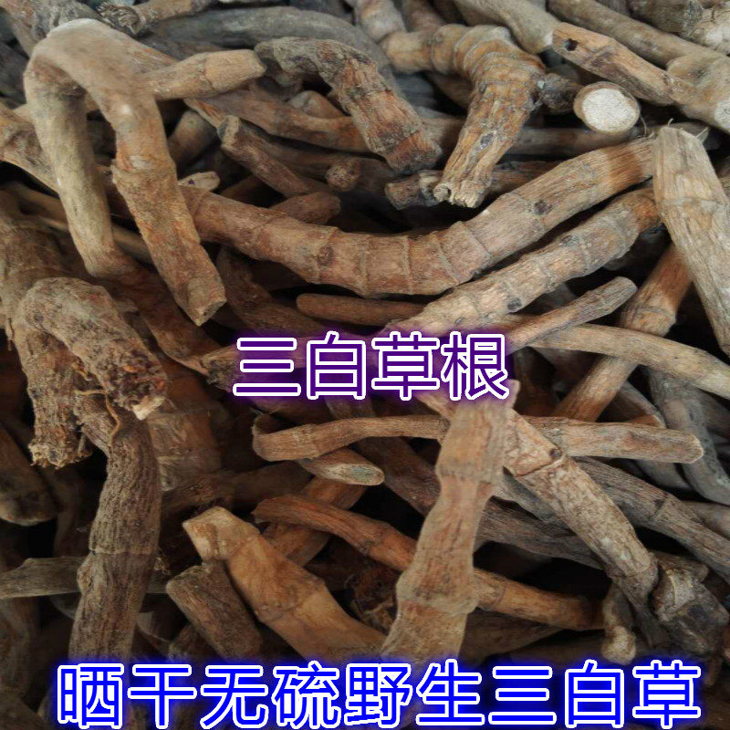 野生三白草 水木通 五路白 三点白 白叶莲 山草药全根晒干500克