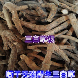 野生三白草 水木通 五路白 三点白 白叶莲 山草药全根晒干500克